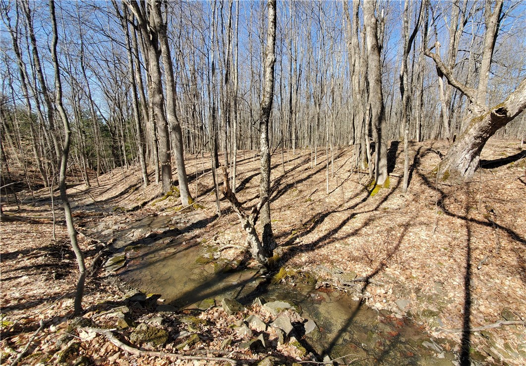 Lot 62 State Highway 205, Laurens, New York image 16