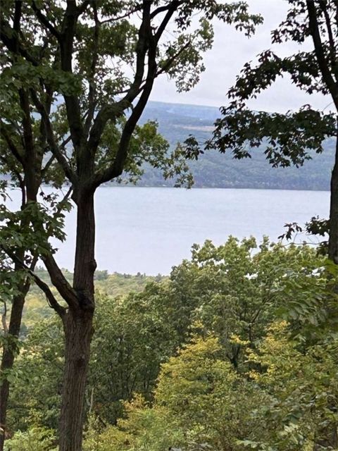 0 Satterly Hill Road Burdett NY 14818