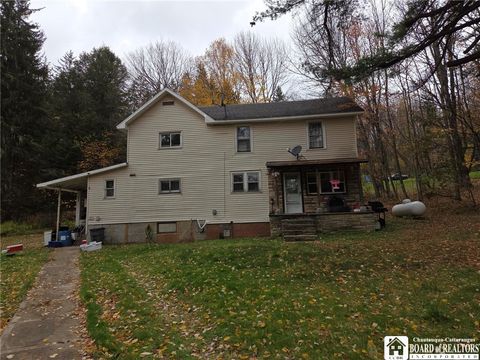 Homes For Sale - 17 Mott Road<br/> Allegany, NY 14753