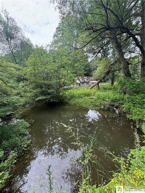 Photo of 2045 Baxter Mills Road, Ischua, NY 14743 (MLS # R1667906)