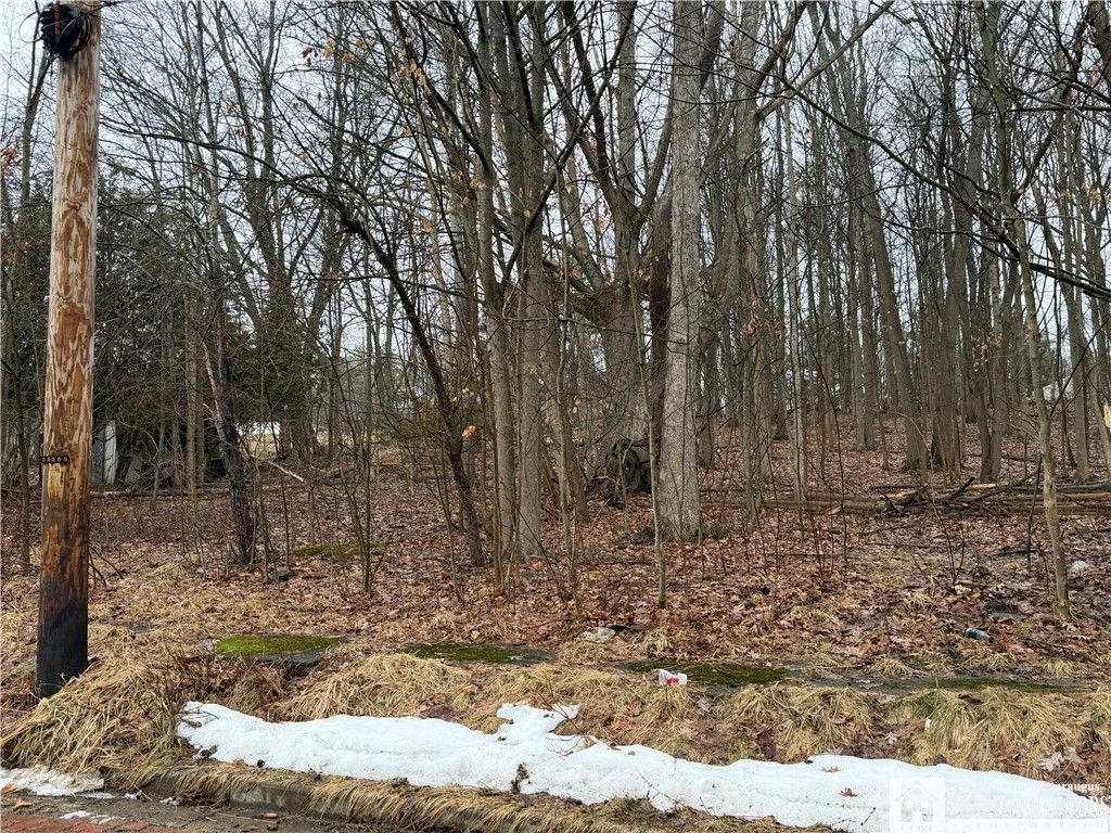 Photo of 0 Vega Street, Jamestown, NY 14701 (MLS # R1662969)