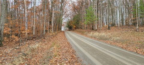Tiny photo for Hagerman Road, Chemung, NY 14825 (MLS # R1660726)