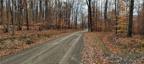 Tiny photo for Hagerman Road, Chemung, NY 14825 (MLS # R1660726)