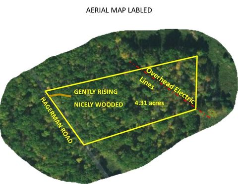 Tiny photo for Hagerman Road, Chemung, NY 14825 (MLS # R1660726)