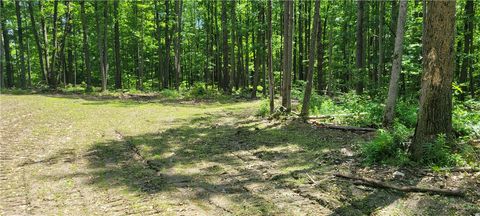 Tiny photo for Hagerman Road, Chemung, NY 14825 (MLS # R1660726)