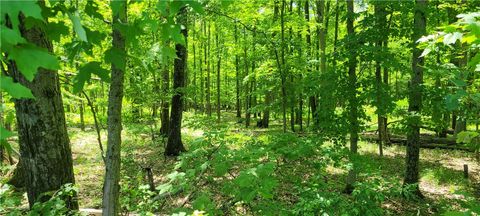 Tiny photo for Hagerman Road, Chemung, NY 14825 (MLS # R1660726)