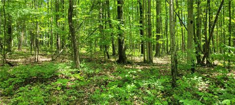 Photo of Hagerman Road, Chemung, NY 14825 (MLS # R1660726)