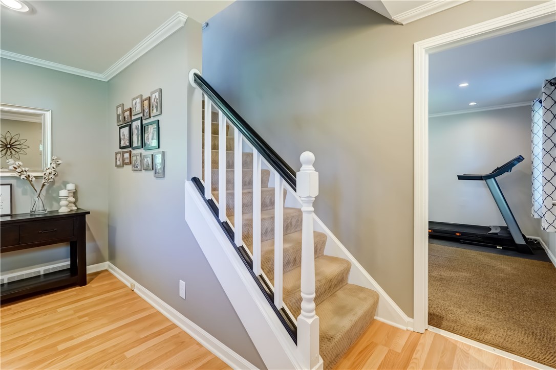 272 Shaftsbury Road