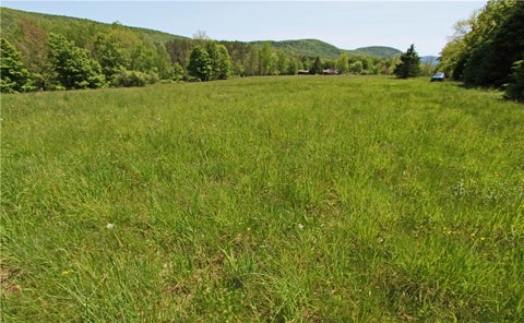 Vacant Land For Sale - John Shultis Road<br/> Roxbury, NY 12474