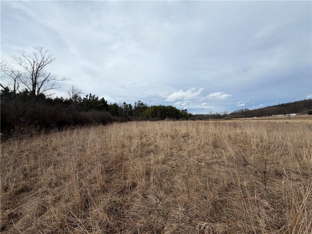 Photo of 0 Decamp Lane, Tyrone, NY 14887 (MLS # R1664199)