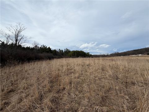 Vacant Land For Sale - Decamp Lane<br/> Schuyler County, Tyrone, NY 14887