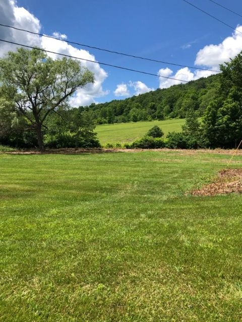 Vacant Land For Sale - 39 Sherman Hill Road<br/> Sidney, NY 13839