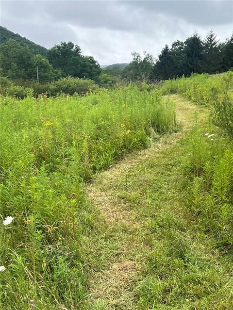 Vacant Land For Sale - State Highway 28<br/> Delhi, NY 13753