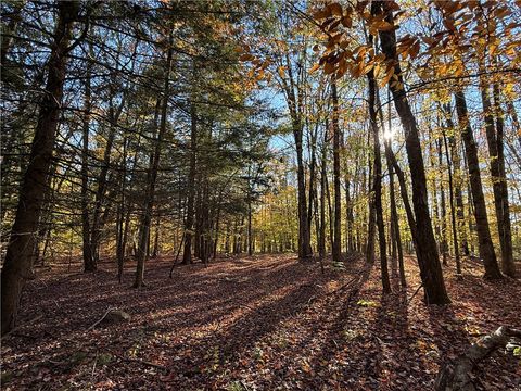 Vacant Land For Sale - County Route 23<br/> Oswego County, Constantia, NY 13044