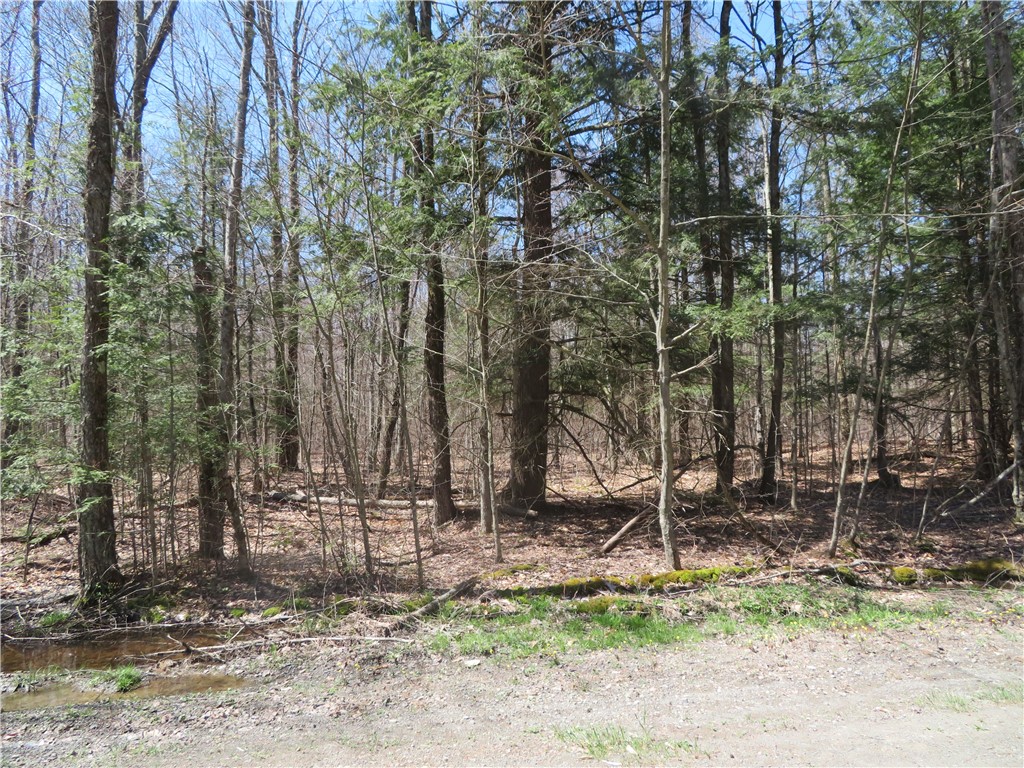 Lot 15.1 Ward Loomis Road, Oxford, New York image 1