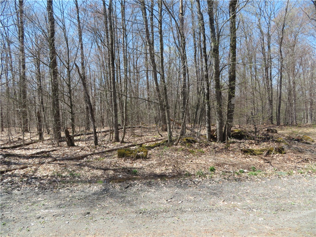 Lot 15.1 Ward Loomis Road, Oxford, New York image 6