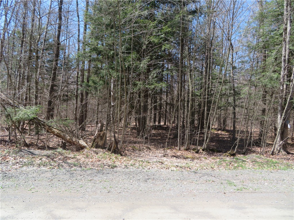 Lot 15.1 Ward Loomis Road, Oxford, New York image 2