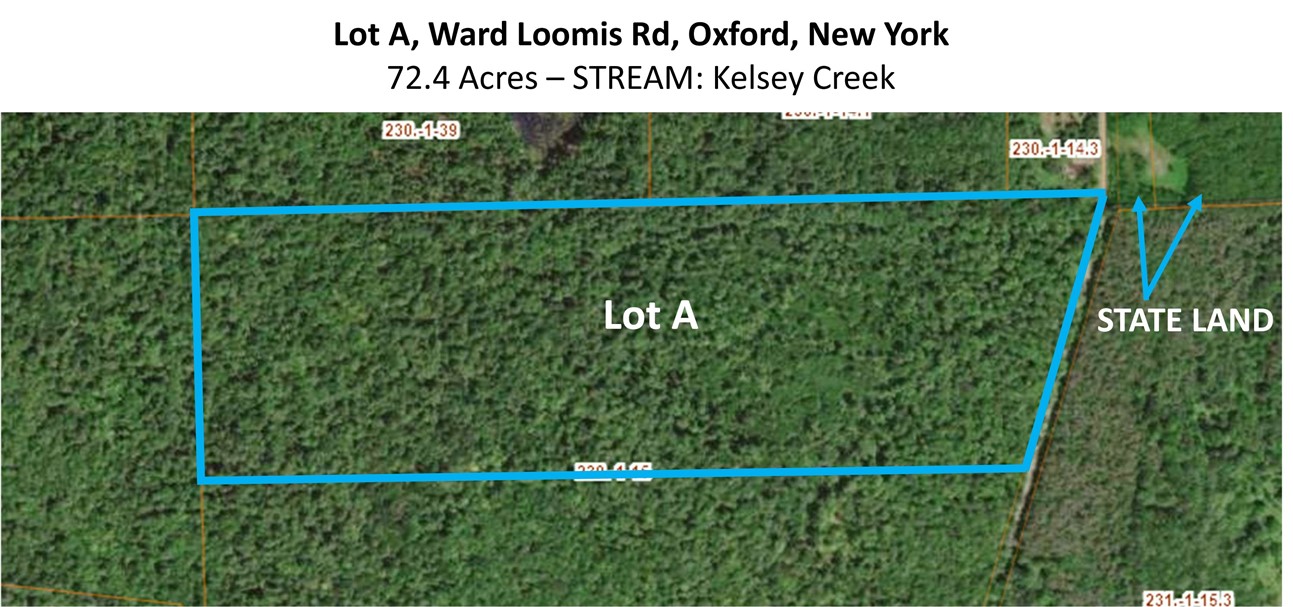 Lot 15.1 Ward Loomis Road, Oxford, New York image 9