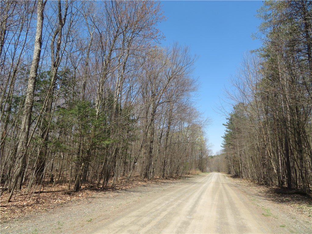 Lot 15.1 Ward Loomis Road, Oxford, New York image 5