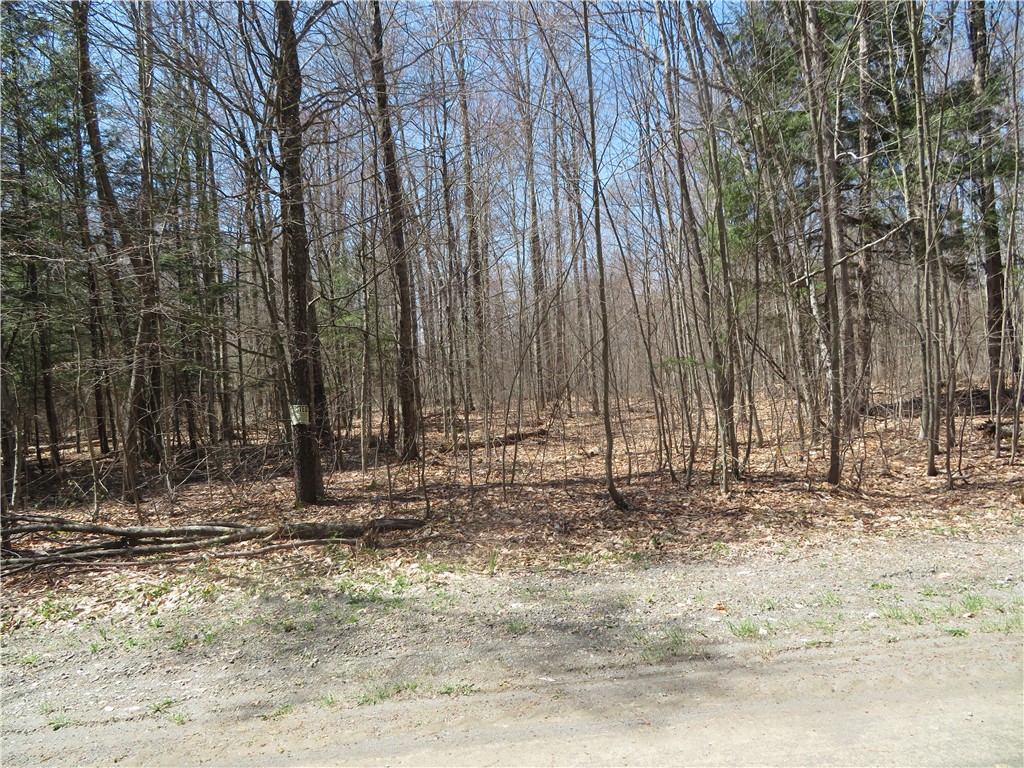 Lot 15.1 Ward Loomis Road, Oxford, New York image 4