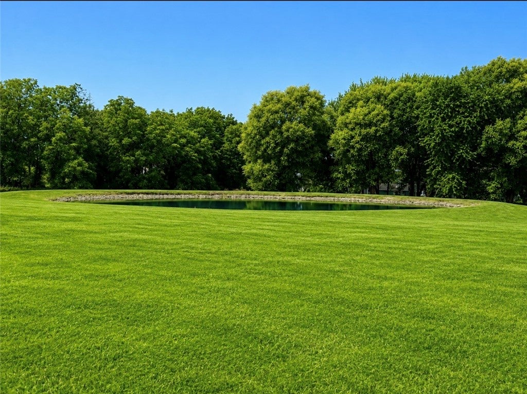 Photo of 00 Dugue Road, Hector, NY 14841 (MLS # R1709599)