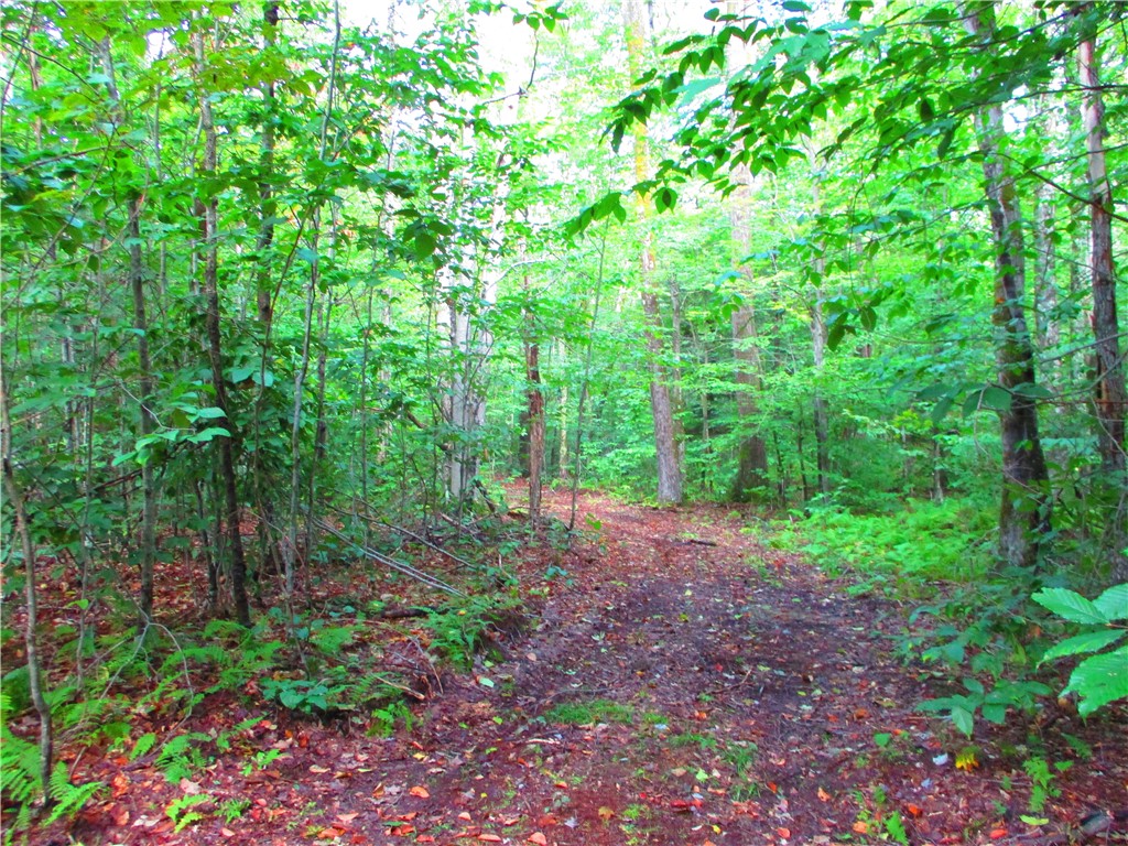 0 Campbell Hill Road