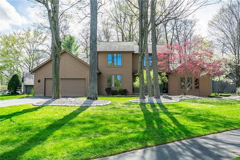 15 brush creek drive rochester ny 14612