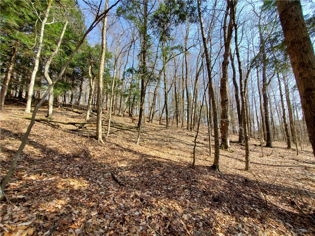 Lot #9 Goddards Road, New Lisbon, New York image 18