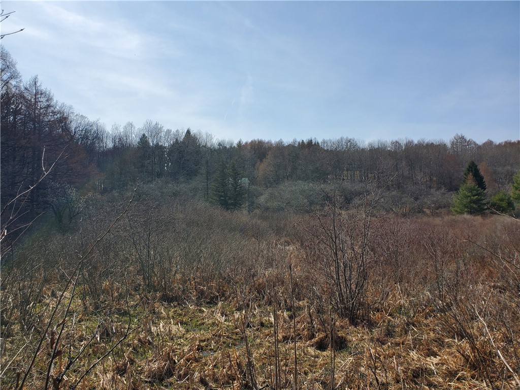 Lot #9 Goddards Road, New Lisbon, New York image 16