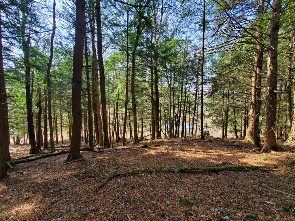 Lot #9 Goddards Road, New Lisbon, New York image 26