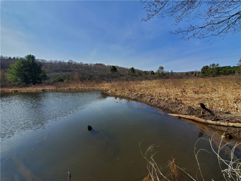 Lot #9 Goddards Road, New Lisbon, New York image 30