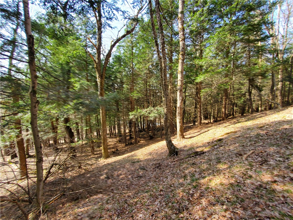 Lot #9 Goddards Road, New Lisbon, New York image 24