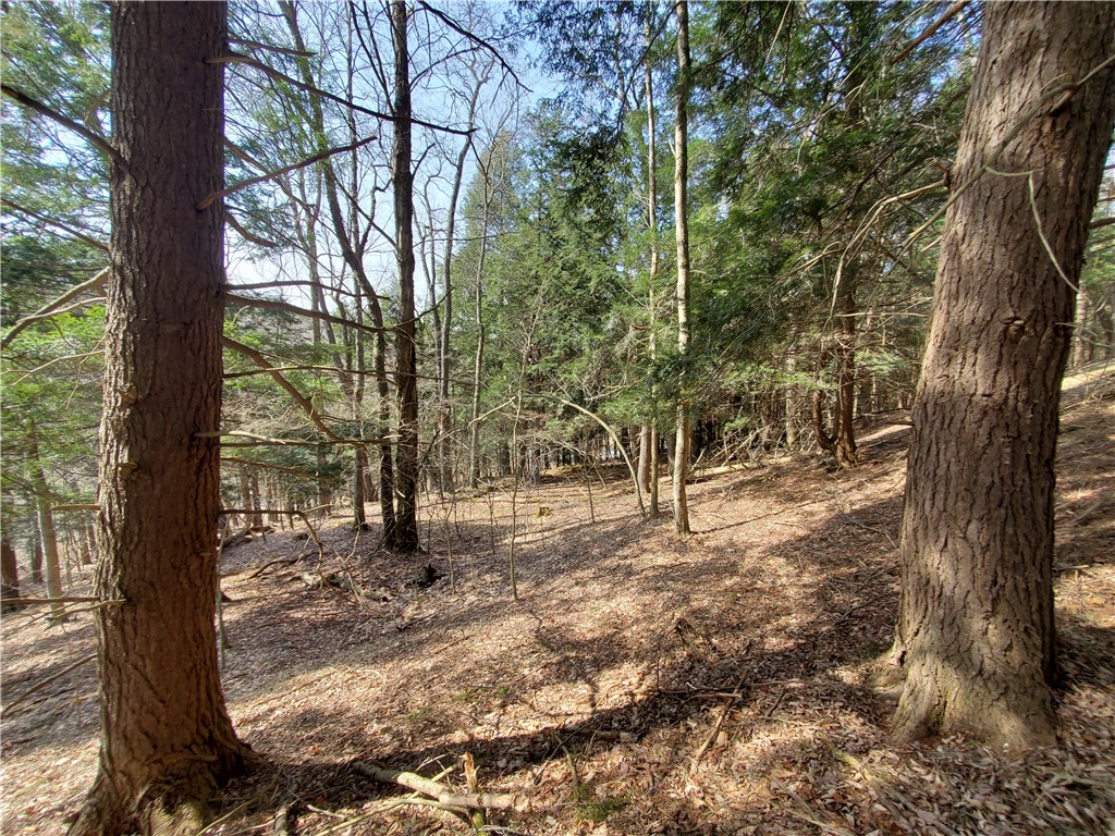 Lot #9 Goddards Road, New Lisbon, New York image 23