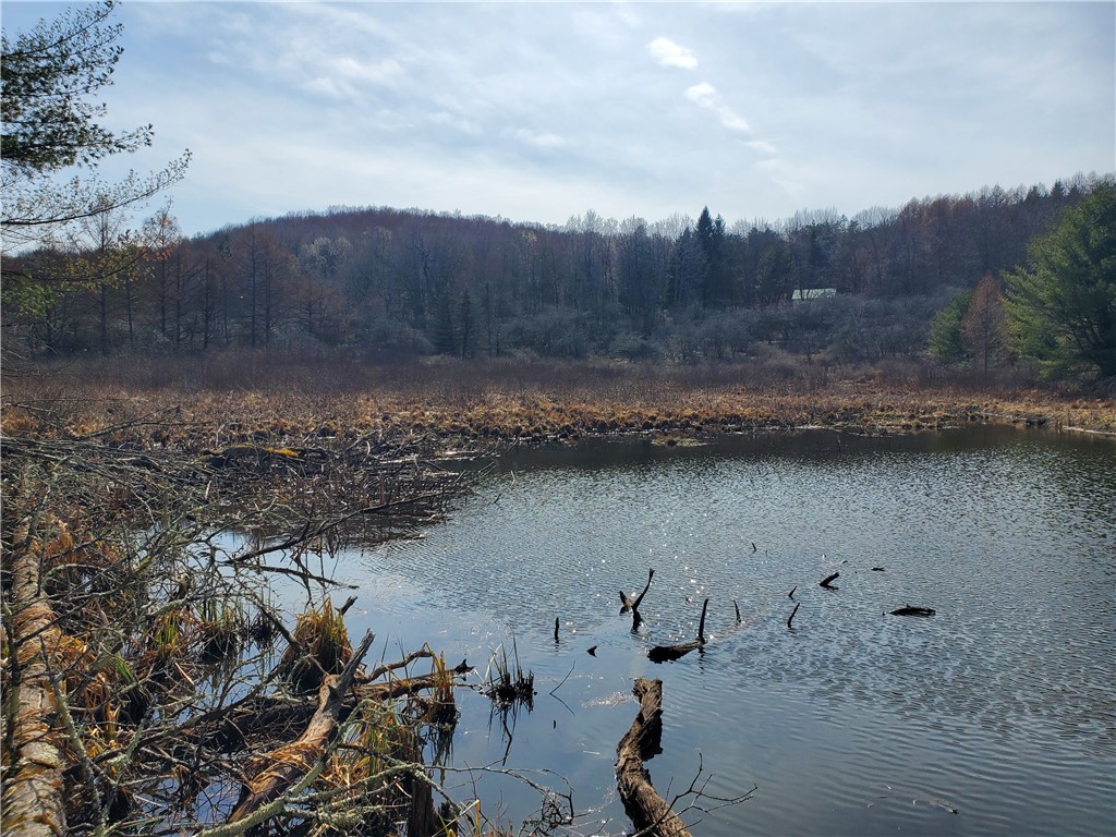 Lot #9 Goddards Road, New Lisbon, New York image 29