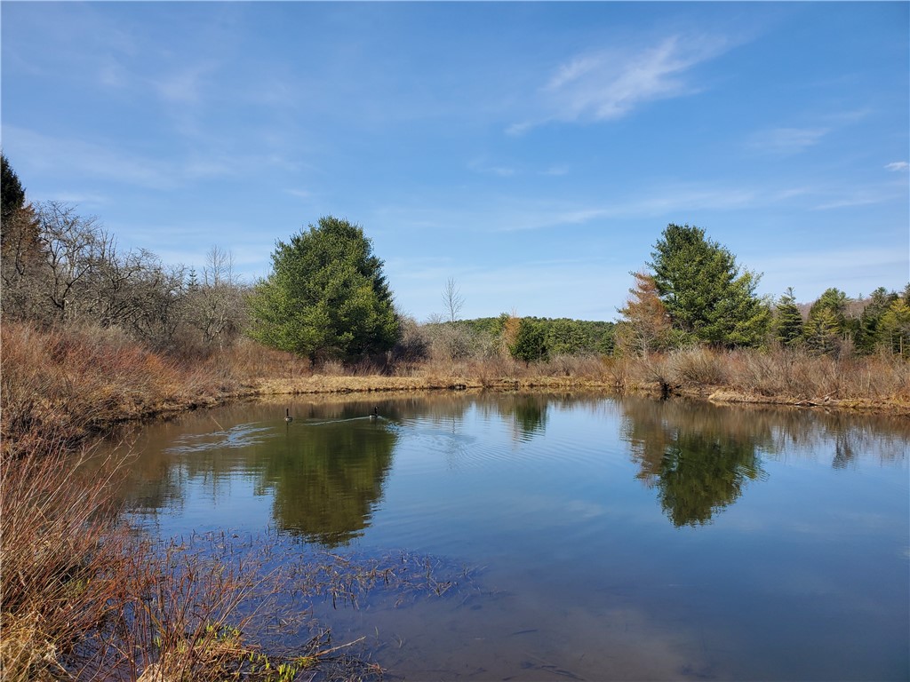 Lot #9 Goddards Road, New Lisbon, New York image 4