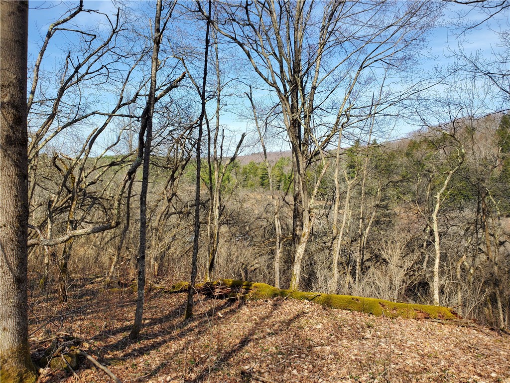 Lot #9 Goddards Road, New Lisbon, New York image 8