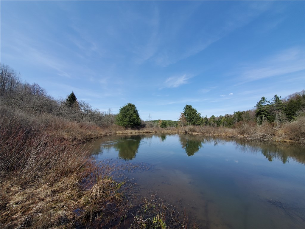 Lot #9 Goddards Road, New Lisbon, New York image 12
