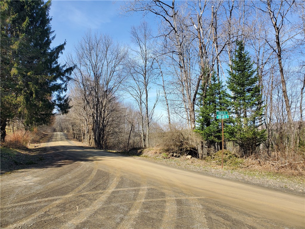 Lot #9 Goddards Road, New Lisbon, New York image 7