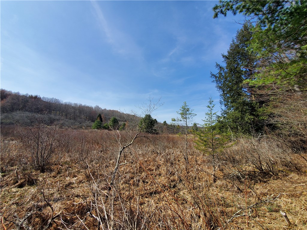 Lot #9 Goddards Road, New Lisbon, New York image 17