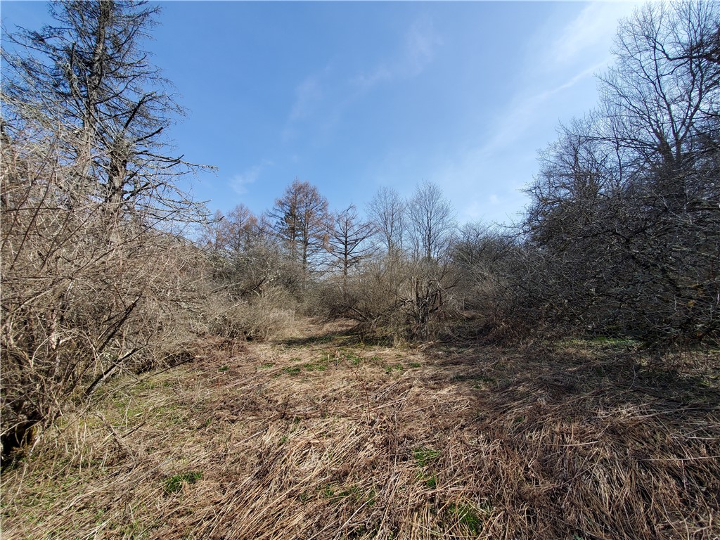 Lot #9 Goddards Road, New Lisbon, New York image 13