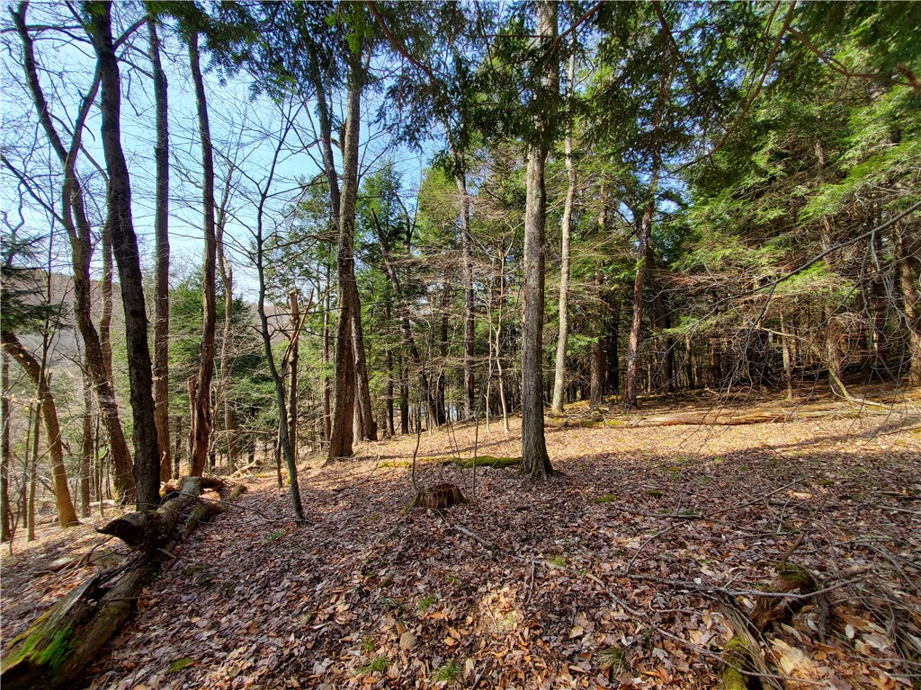 Lot #9 Goddards Road, New Lisbon, New York image 21