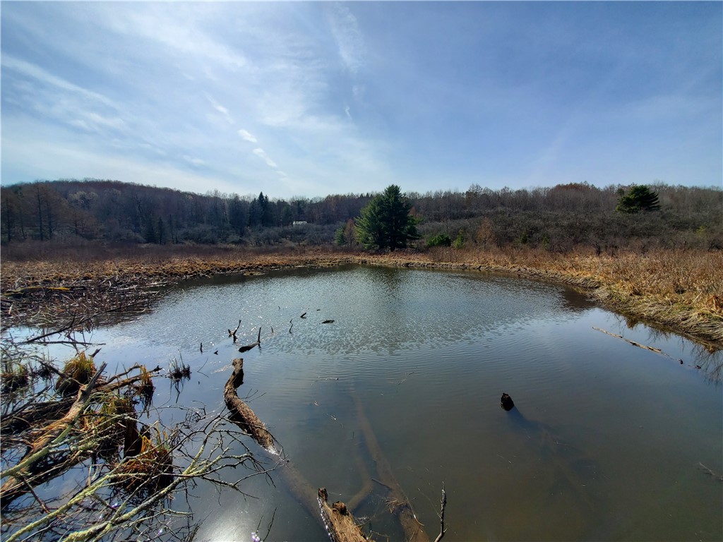 Lot #9 Goddards Road, New Lisbon, New York image 28