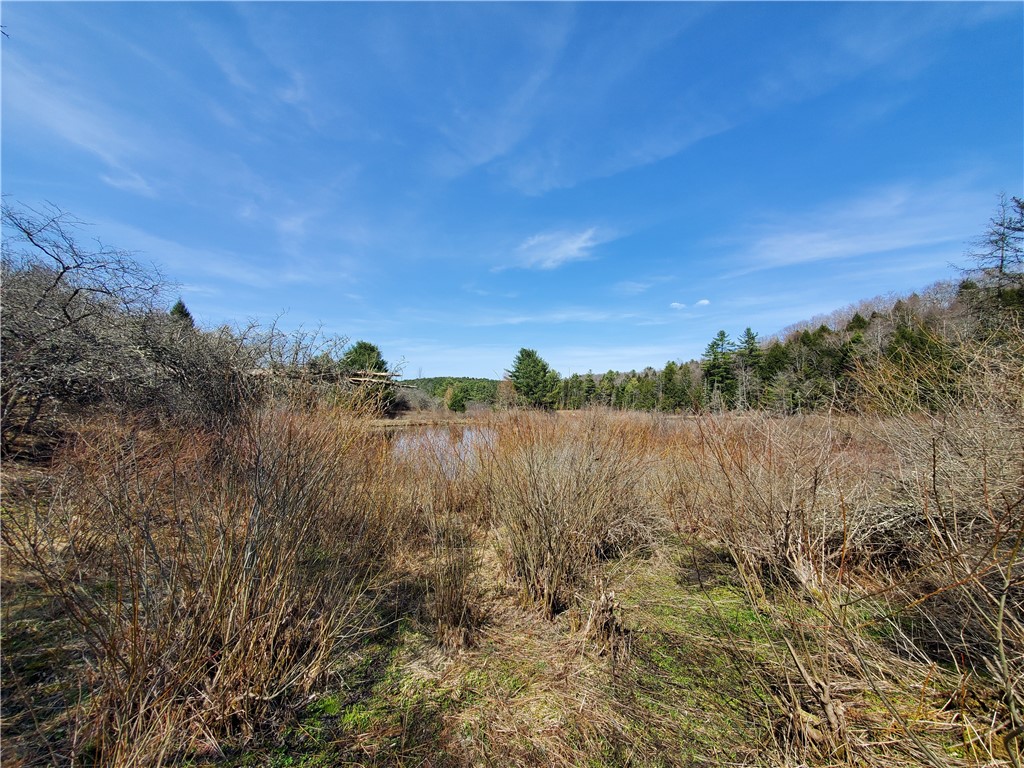 Lot #9 Goddards Road, New Lisbon, New York image 5