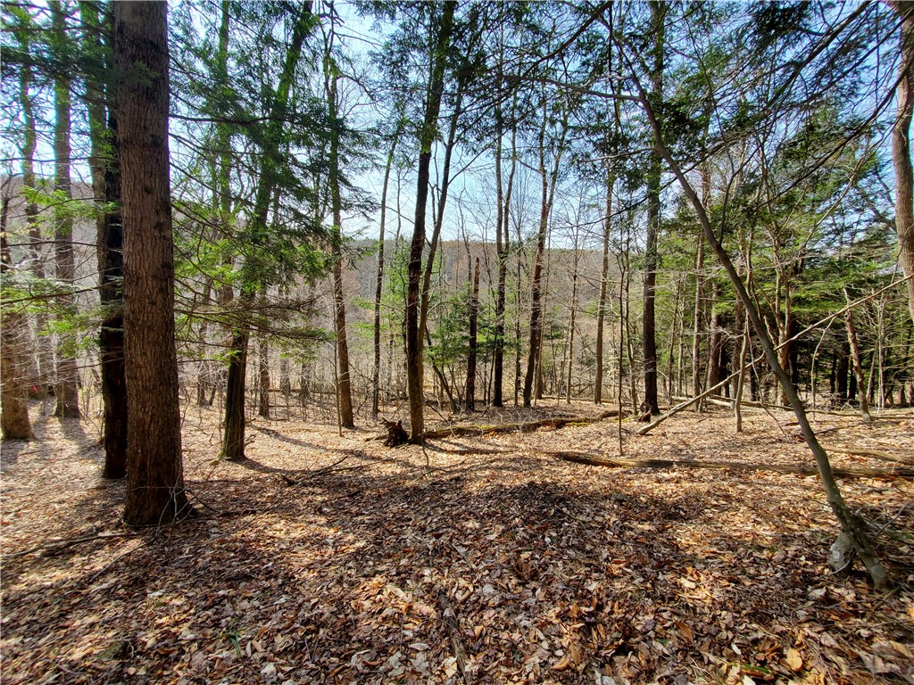 Lot #9 Goddards Road, New Lisbon, New York image 20