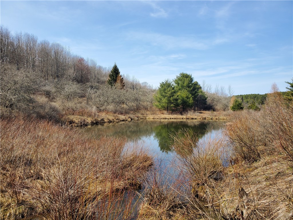 Lot #9 Goddards Road, New Lisbon, New York image 15