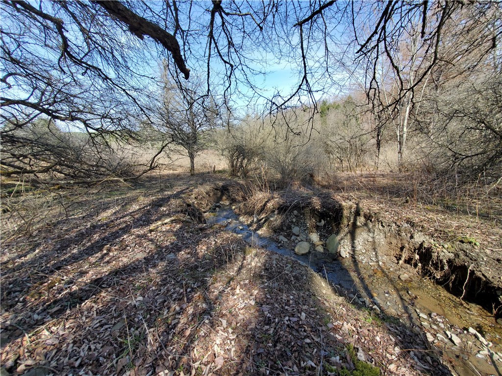 Lot #9 Goddards Road, New Lisbon, New York image 11