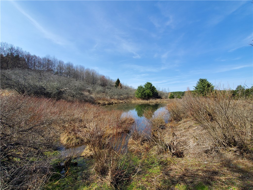 Lot #9 Goddards Road, New Lisbon, New York image 14