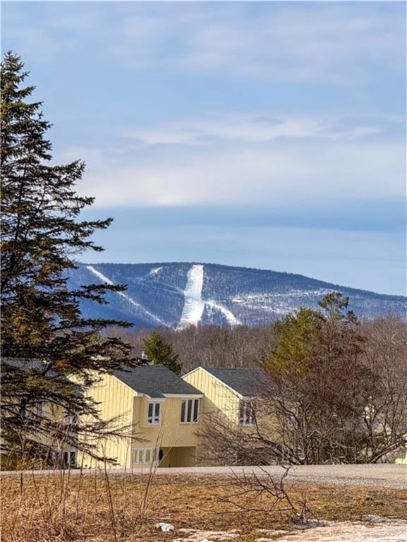 270 Pines Drive #9-2, Roxbury, New York image 19