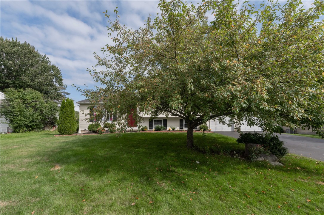 111 Overland Trl, Henrietta, New York image 3