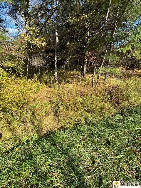 Tiny photo for 5794 Comfort Hollow Road, Scio, NY 14880 (MLS # R1724276)